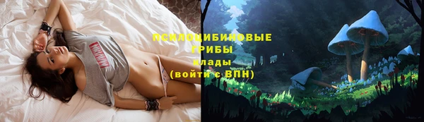 первитин Бородино