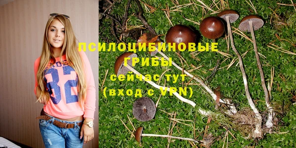 герыч Бугульма